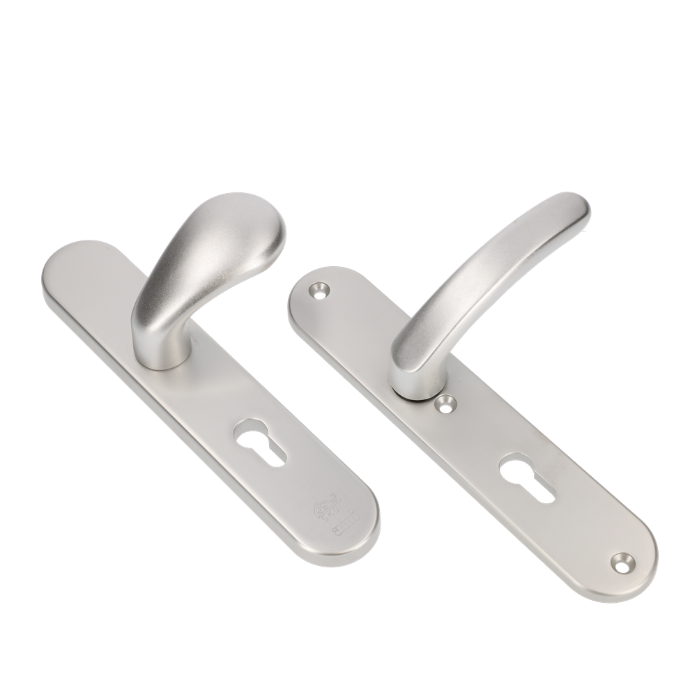 AMI Veiligheidsbeslag Knop 173 250/50/1 Buiten en Binnen Profielcilinder 92, 378 Rotaveer F1 Deurdikte 38/42 Mm - 689915